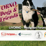 Livorno Dogs & friends