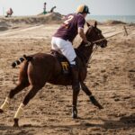 Versilia Polo Beach Cup edizione 2014