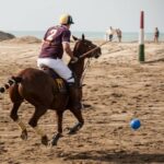 Versilia Polo Beach Cup edizione 2014