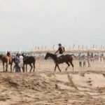 Versilia Polo Beach Cup edizione 2014