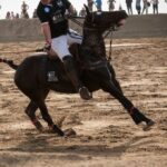 Versilia Polo Beach Cup edizione 2014