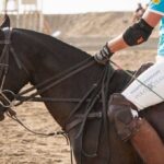 Versilia Polo Beach Cup edizione 2014