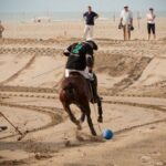 Versilia Polo Beach Cup edizione 2014