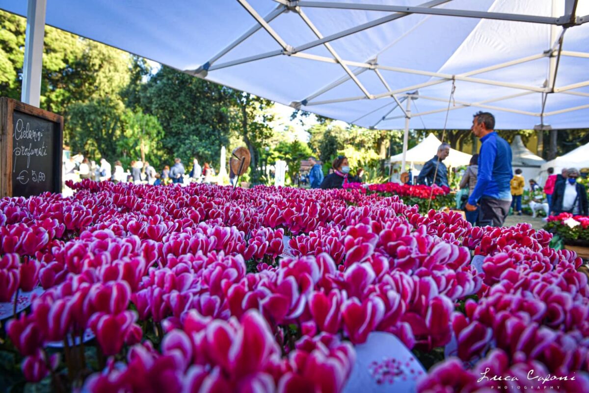 Harborea 2023 a Livorno: Scopri la Magia dei Giardini nella Dodicesima Edizione 132 Harborea 2023
