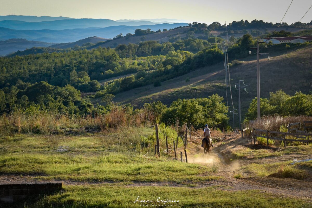 Vacanze in Toscana: la Maremma 141 Maremma a cavallo