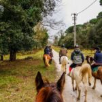 19° Benedizione degli Animali san rossore