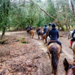 19° Benedizione degli Animali san rossore