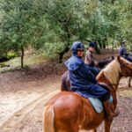 19° Benedizione degli Animali san rossore