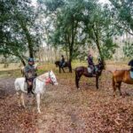 19° Benedizione degli Animali san rossore