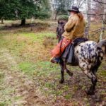 19° Benedizione degli Animali san rossore