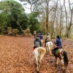 19° Benedizione degli Animali san rossore