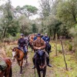 19° Benedizione degli Animali san rossore