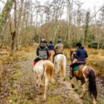 19° Benedizione degli Animali san rossore