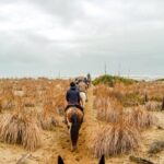 19° Benedizione degli Animali san rossore