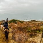 19° Benedizione degli Animali san rossore