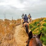 19° Benedizione degli Animali san rossore