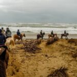 19° Benedizione degli Animali san rossore