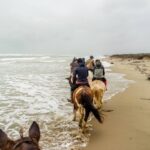 19° Benedizione degli Animali san rossore