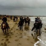 19° Benedizione degli Animali san rossore