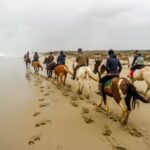 19° Benedizione degli Animali san rossore