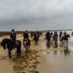 19° Benedizione degli Animali san rossore