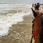 19° Benedizione degli Animali san rossore