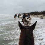 19° Benedizione degli Animali san rossore