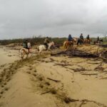 19° Benedizione degli Animali san rossore