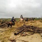 19° Benedizione degli Animali san rossore