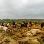 19° Benedizione degli Animali san rossore