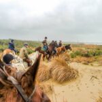 19° Benedizione degli Animali san rossore