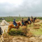 19° Benedizione degli Animali san rossore