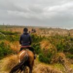 19° Benedizione degli Animali san rossore