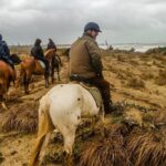 19° Benedizione degli Animali san rossore