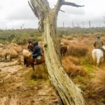 19° Benedizione degli Animali san rossore