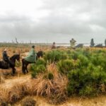 19° Benedizione degli Animali san rossore