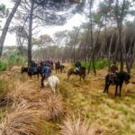 19° Benedizione degli Animali san rossore