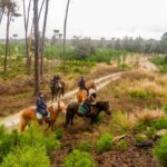 19° Benedizione degli Animali san rossore