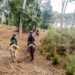 19° Benedizione degli Animali san rossore