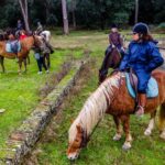 19° Benedizione degli Animali san rossore