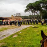 19° Benedizione degli Animali san rossore