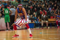 Gli Harlem Globetrotters tornano a Livorno nel 2024 4 Gli Harlem Globetrotters tornano a Livorno nel 2024 4