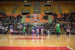 Gli Harlem Globetrotters tornano a Livorno nel 2024 8 Gli Harlem Globetrotters tornano a Livorno nel 2024 8