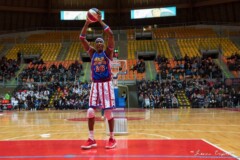 Gli Harlem Globetrotters tornano a Livorno nel 2024 11 Gli Harlem Globetrotters tornano a Livorno nel 2024 11