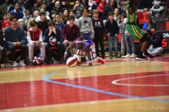 Gli Harlem Globetrotters tornano a Livorno nel 2024 40 Gli Harlem Globetrotters tornano a Livorno nel 2024 40